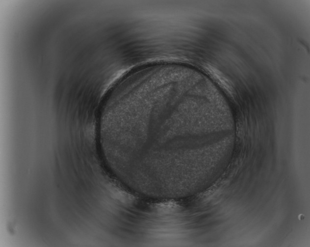 X0000091690112200709201306