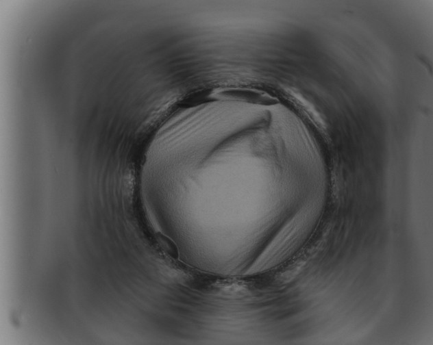 X0000091690113200709201306