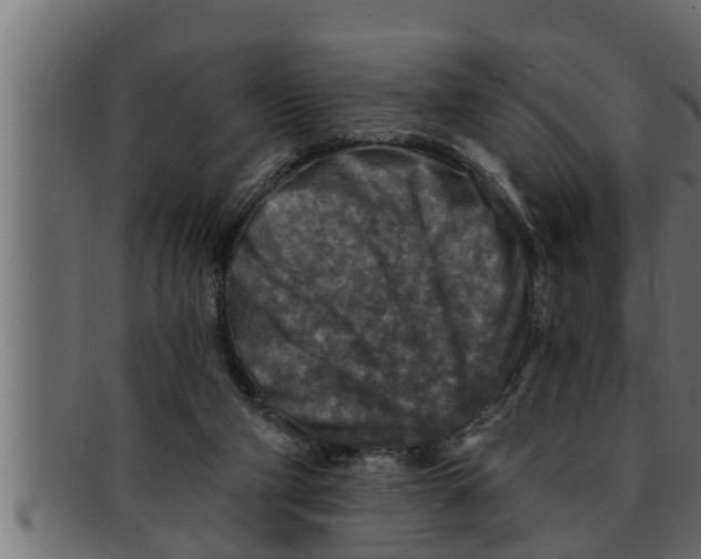 X0000091690114200709201306