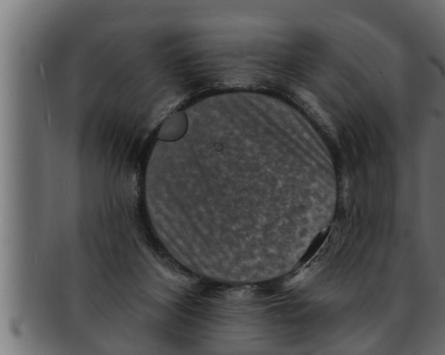 X0000091690116200709201306