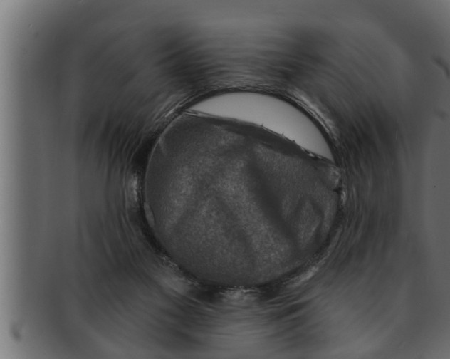 X0000091690117200709201306