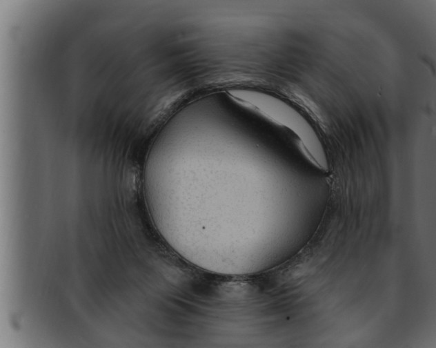 X0000091690119200709201306