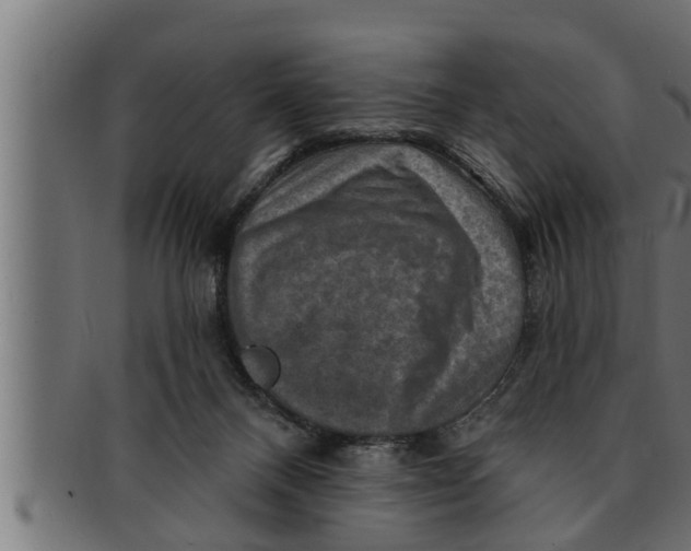 X0000091690120200709201306