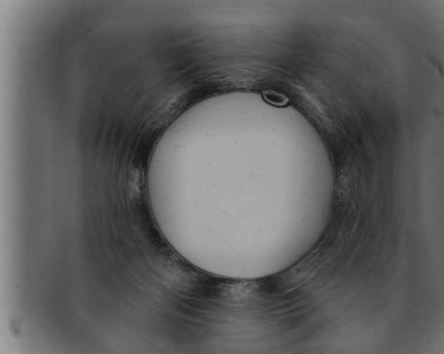 X0000091690122200709201306