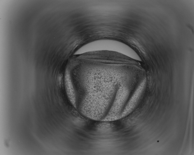 X0000091690123200709201306