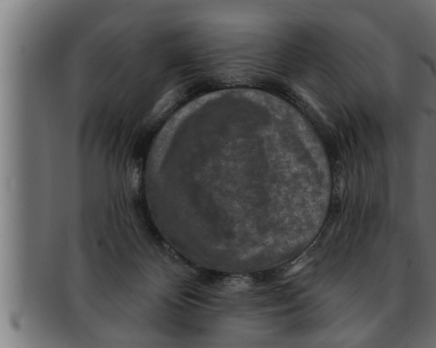 X0000091690124200709201306