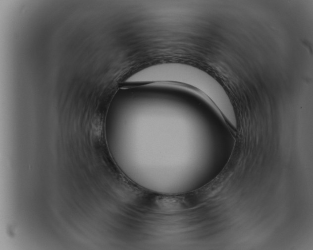 X0000091690129200709201306