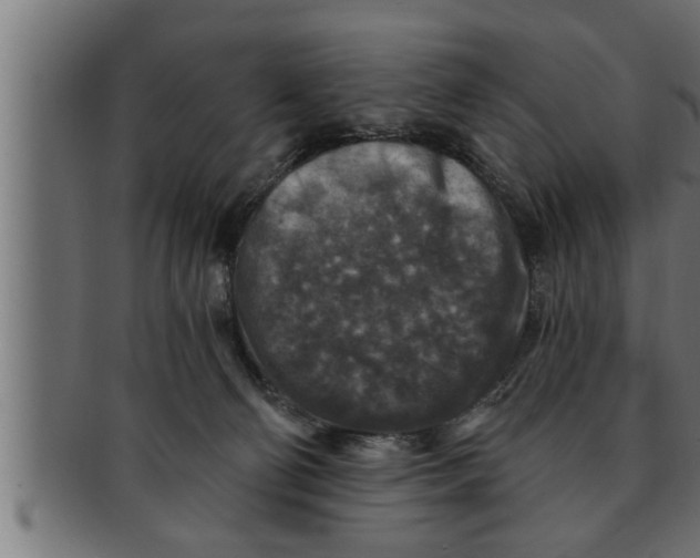 X0000091690130200709201306