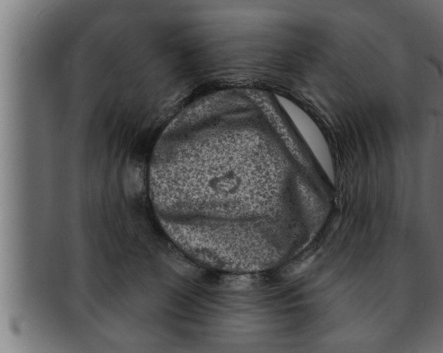 X0000091690131200709201306