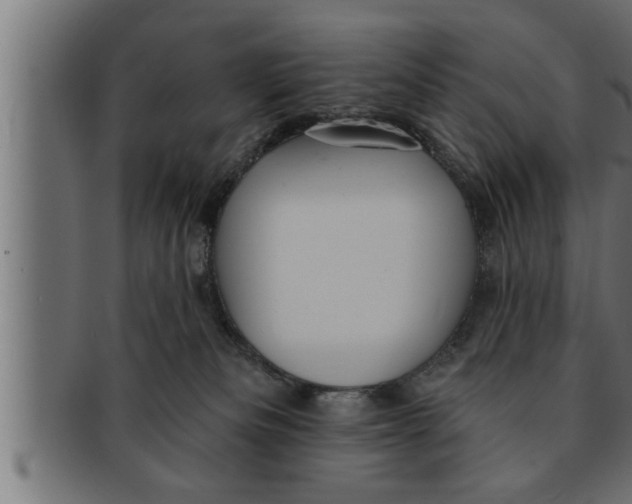 X0000091690133200709201306