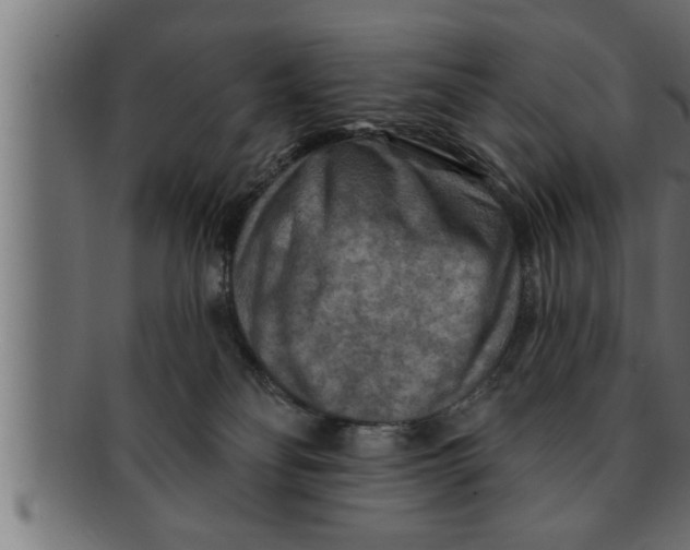 X0000091690134200709201306