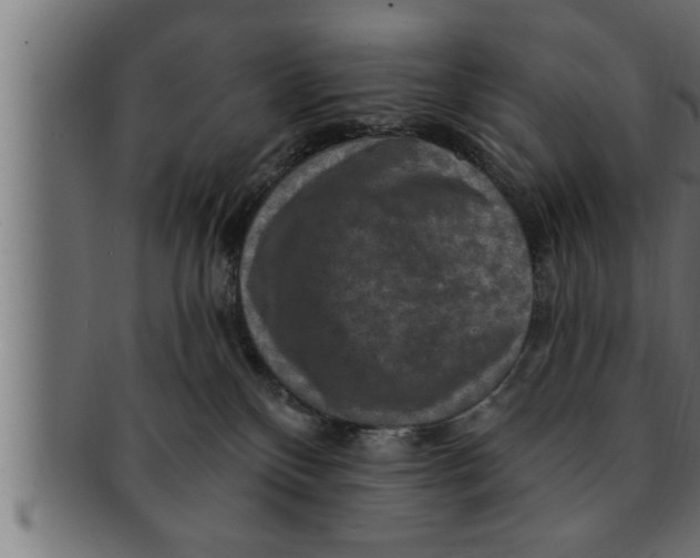 X0000091690136200709201306