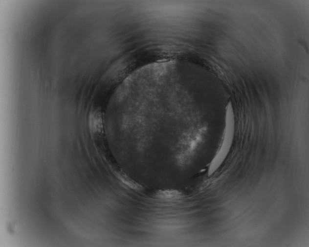 X0000091690137200709201306