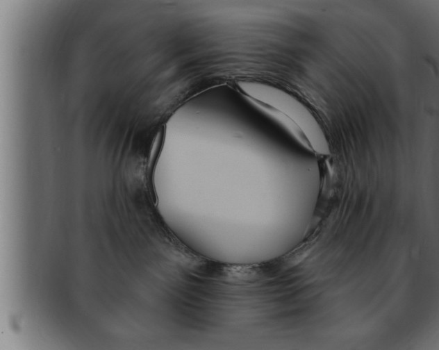 X0000091690141200709201306