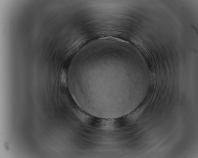 X0000091690143200709201306