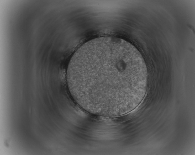 X0000091690144200709201306