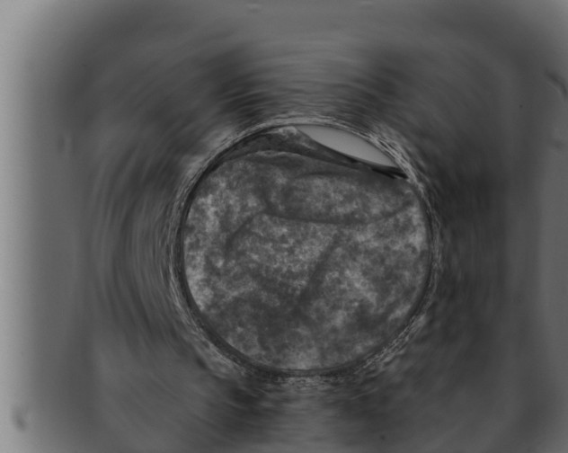 X0000091690145200709201305