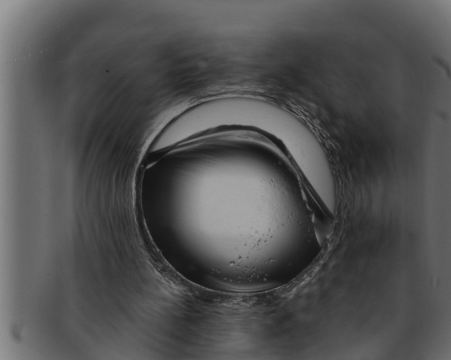 X0000091690148200709201305