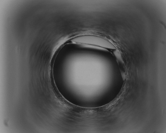 X0000091690152200709201305