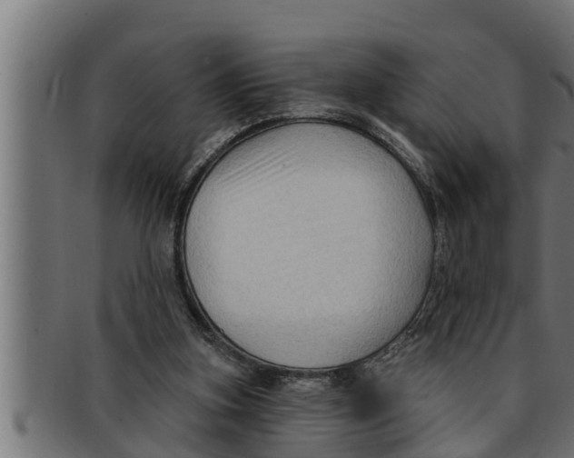 X0000091690155200709201305