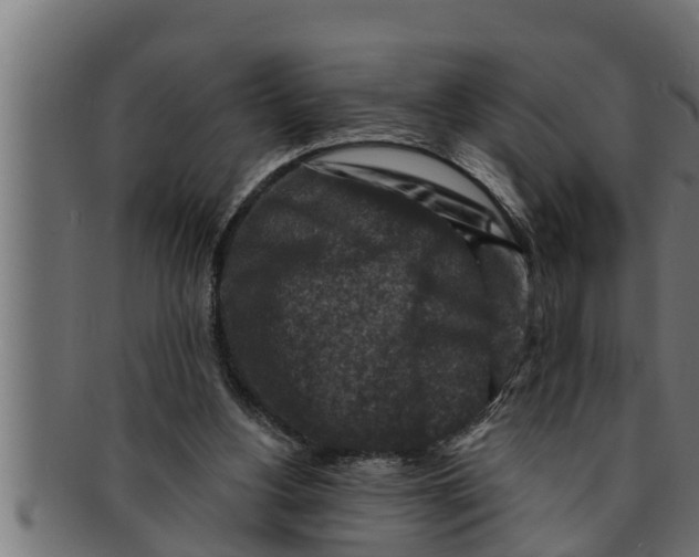 X0000091690156200709201305