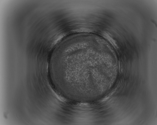 X0000091690157200709201305