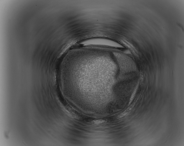 X0000091690158200709201305