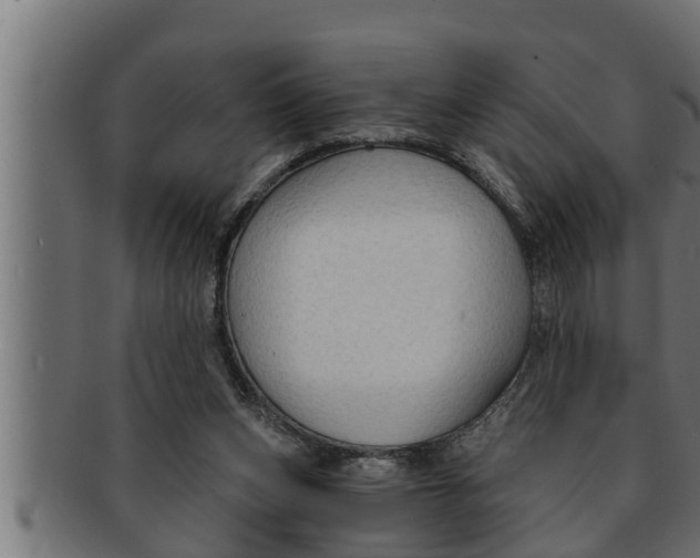 X0000091690159200709201305