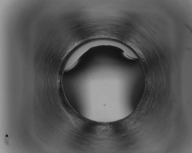 X0000091690160200709201305