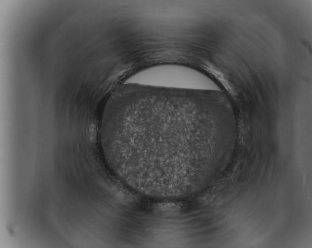 X0000091690161200709201305