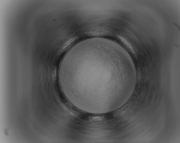 X0000091690163200709201305