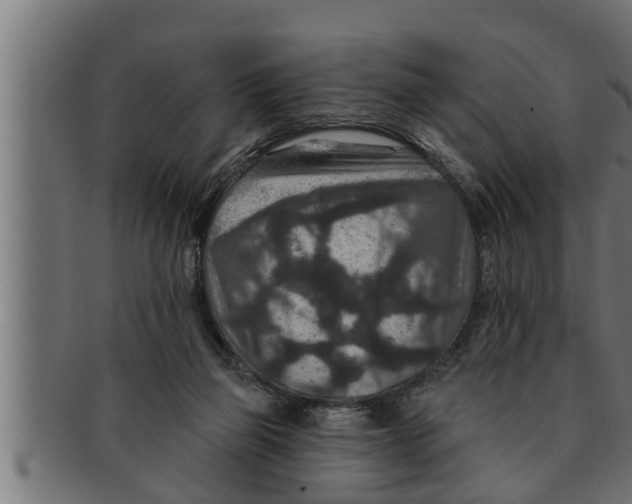 X0000091690165200709201305