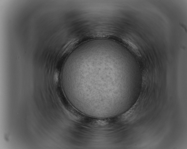 X0000091690166200709201305