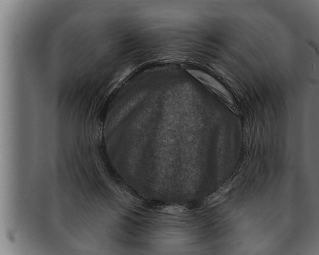 X0000091690168200709201305