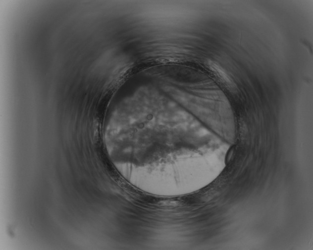 X0000091690169200709201305