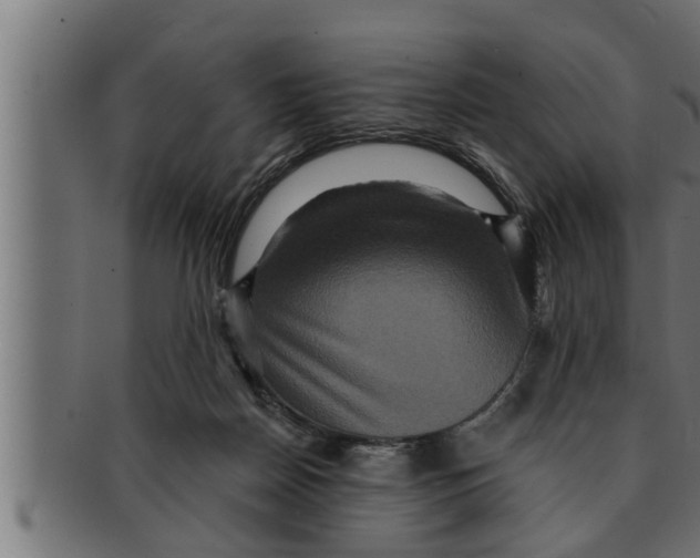 X0000091690170200709201305