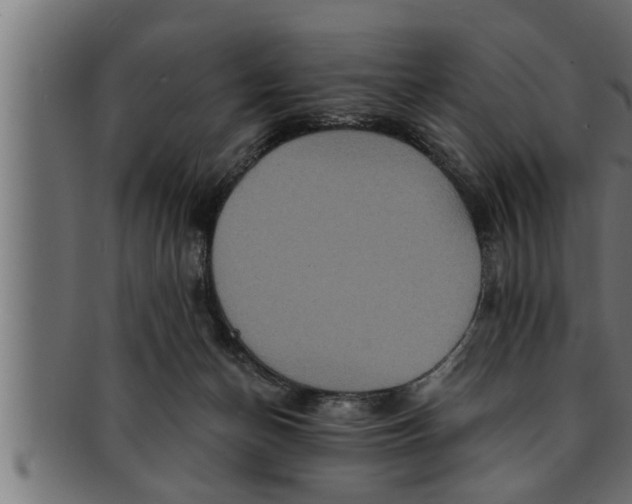 X0000091690174200709201305