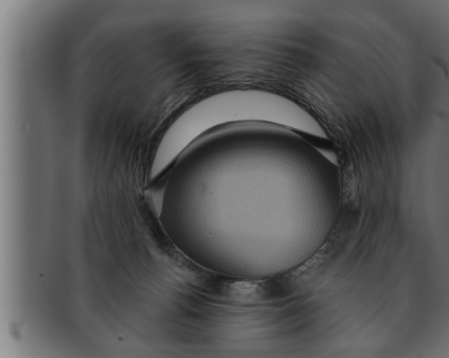 X0000091690176200709201305