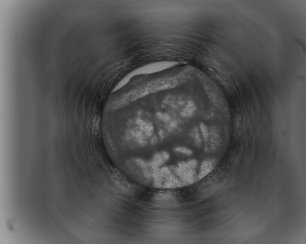 X0000091690177200709201305