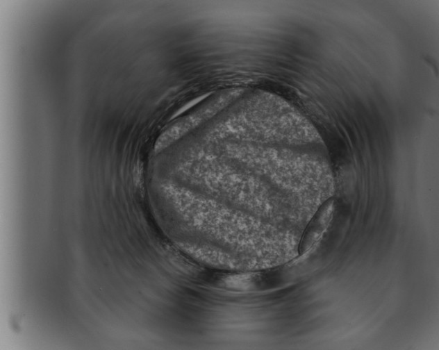 X0000091690178200709201305