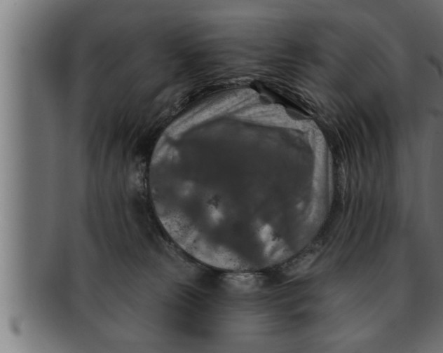 X0000091690181200709201306