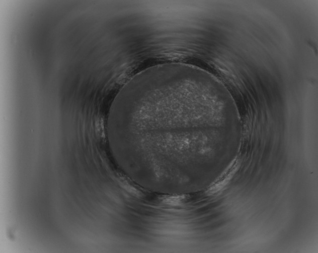 X0000091690182200709201306