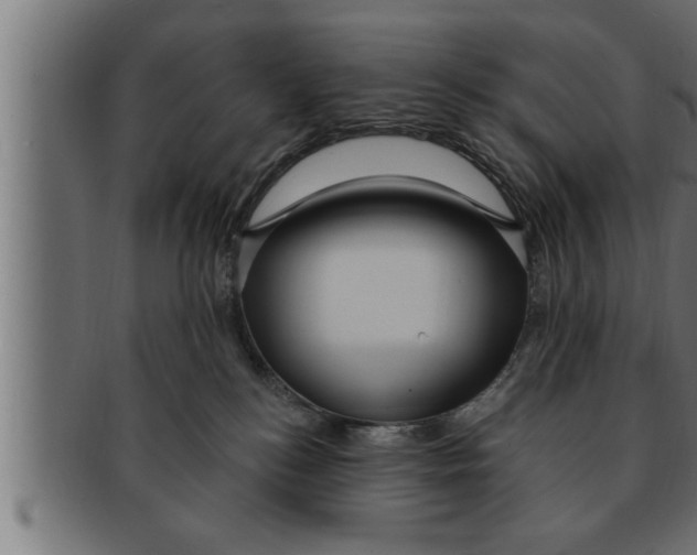 X0000091690184200709201306