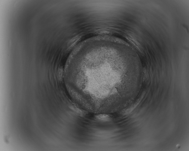 X0000091690189200709201306