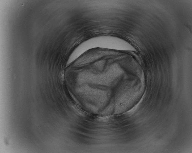 X0000091690190200709201306