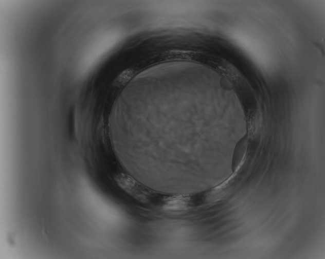 X0000091690191200709201306