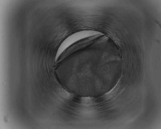 X0000091690192200709201306