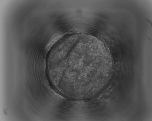 X0000091690194200709201305