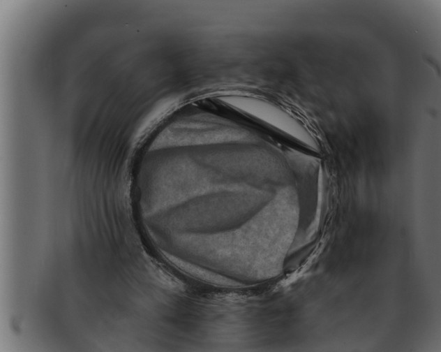 X0000091690197200709201305