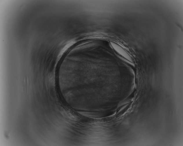 X0000091690200200709201305